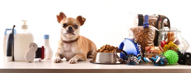 shipping pet supplies and toys 1